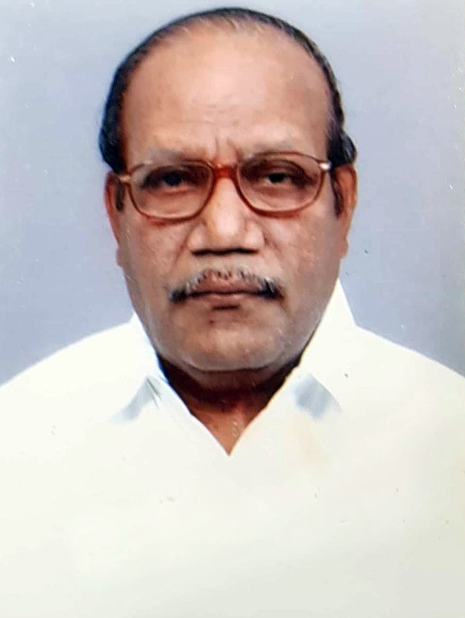 Portrait of Prof. R Radhakrishnan
