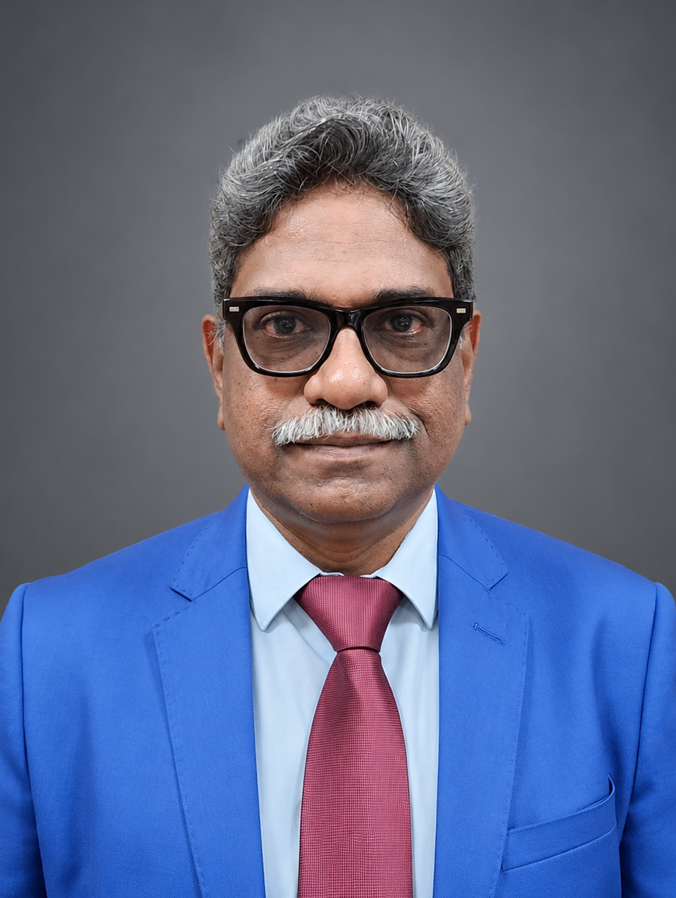 Portrait of Prof. S Meenakshi Sundaram
